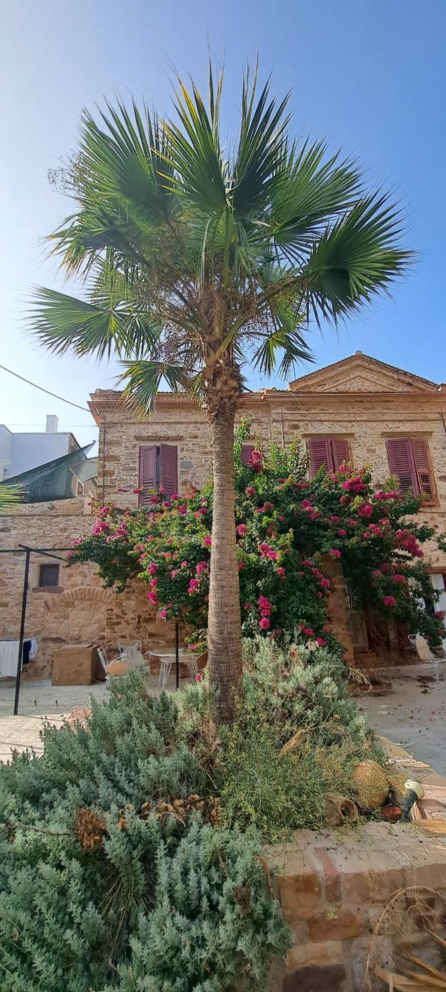 Garden Of Chios - Mosaic公寓 外观 照片